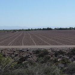 Farmland adjacent to the Salton Sea