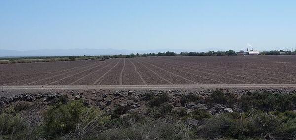 Farmland adjacent to the Salton Sea